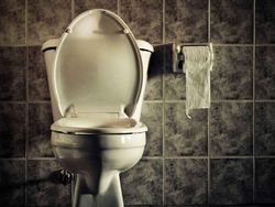 Bawa Ponsel Saat BAB Berdampak Fatal, Seharusnya Bagaimana?