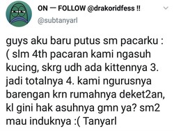 Viral Curhat Netizen Rebutan Hak Asuh Kucing sama Mantan Pacar