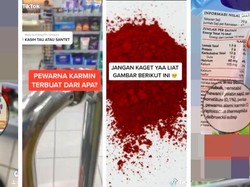 Viral Pewarna Makanan Karmin dari Serangga Kutu Daun, Ini Faktanya