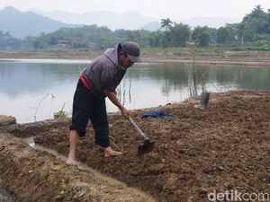 Warga KBB Manfaatkan Sungai Citarum yang Mengering Jadi Lahan Pertanian
