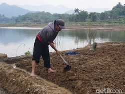 Warga KBB Manfaatkan Sungai Citarum yang Mengering Jadi Lahan Pertanian