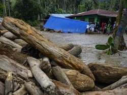 191 Hektare Lahan Pertanian-Perkebunan di Sigi Rusak Akibat Banjir