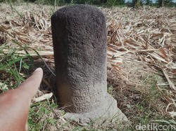 Patok Batu Diduga Batas Wilayah Masa Mataram Kuno Ditemukan di Klaten