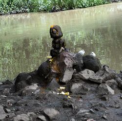 Berita dan Informasi Hutan keramat Terkini dan Terbaru Hari ini ...