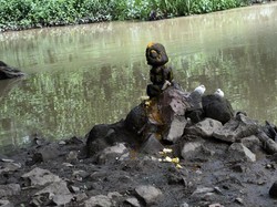 Diduga Bikin Film Porno di Hutan Keramat, Produser Ini Dipolisikan