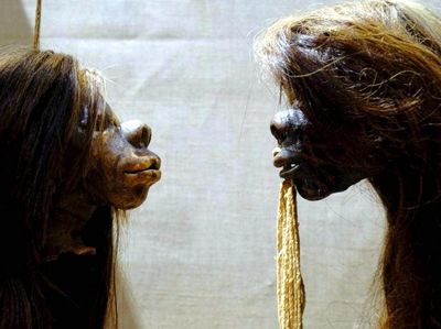 Foto: Koleksi Awetan Kepala Manusia yang Disingkirkan Museum