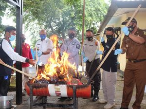 Polda Papua Tangkap 16 Tersangka Kasus Narkoba, 1 Pelaku WN Papua Nugini