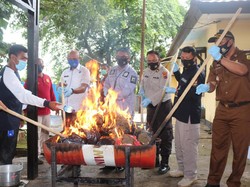 Polda Papua Tangkap 16 Tersangka Kasus Narkoba, 1 Pelaku WN Papua Nugini