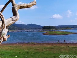 Pulau Batu Datar Muncul di Waduk Darma Kuningan yang Surut