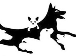 Tes Kepribadian: Ada Berapa Anjing yang Kamu Lihat Dalam Gambar?