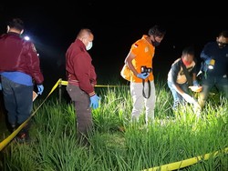 Lagi, Jebakan Tikus Listrik Tewaskan Petani di Ngawi
