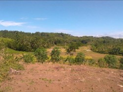 Urgensi Transformasi Pengelolaan Hutan Jawa