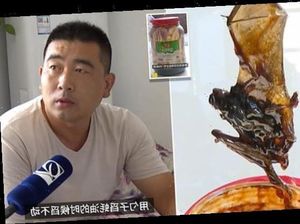 Waduh! Keluarga Ini Temukan Bangkai Kelelawar di Dalam Kaleng Saus Tiram