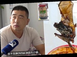 Waduh! Keluarga Ini Temukan Bangkai Kelelawar di Dalam Kaleng Saus Tiram