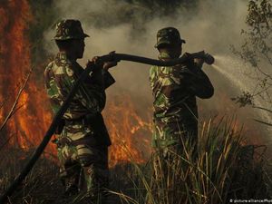 RUU Cipta Kerja Hapus Pasal Sakti Penjerat Pembakar Hutan