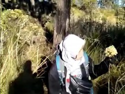 Viral Aksi Panen Bunga Edelweis di Gunung Lawu oleh Pendaki Perempuan