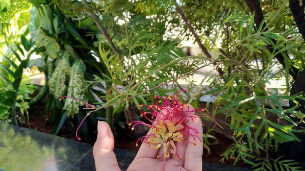 Hasil foto Nokia 5.3 Hasil foto Nokia 5.3