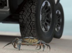 Mobil Listrik Hummer Bisa Jalan Miring Seperti Kepiting