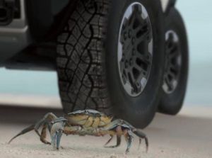 Mobil Listrik Hummer Bisa Jalan Miring Seperti Kepiting Mobil Listrik Hummer Bisa Jalan Miring Seperti Kepiting