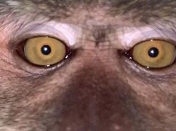 Traveler Temukan Hal Tak Terduga di Ponselnya yang Hilang