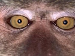 Traveler Temukan Hal Tak Terduga di Ponselnya yang Hilang