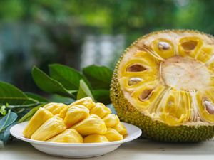 7 Manfaat Buah Nangka yang Jarang Diketahui 7 Manfaat Buah Nangka yang Jarang Diketahui