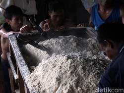 Limbah Organik Keras: Pengertian, Contoh, Pemanfaatan dan Pengolahannya