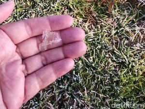 Potret Dieng Berselimut Es