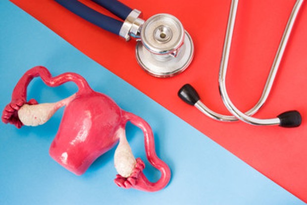 Radang Leher Rahim/ Sumber: Freepik.com Untuk penanganannya, kamu perlu segera memeriksakan diri ke dokter untuk mendapatkan perawatan yang sesuai dengan penyebab dari radang leher rahim yang kamu alami.