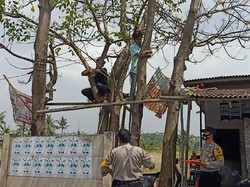 Tak Pakai Masker, Warga Cilegon Dihukum Baca Surat Yasin-Naik Pohon