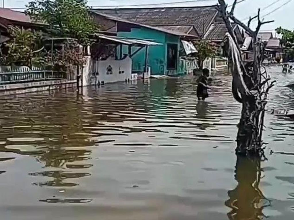 Warga Belawan Minta Tanggul Cegah Rob, Pemko Medan Tunggu Pemerintah Pusat Warga Belawan Minta Tanggul Cegah Rob, Pemko Medan Tunggu Pemerintah Pusat