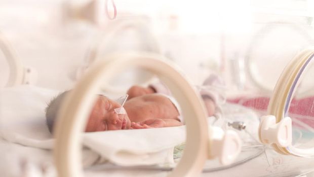 Premature newborn  baby girl in the hospital incubator after c-section in 33 week