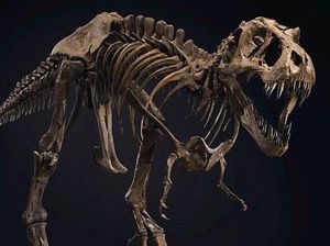 Tanpa Disadari Kita Hidup Berdampingan dengan Dinosaurus Tanpa Disadari Kita Hidup Berdampingan dengan Dinosaurus