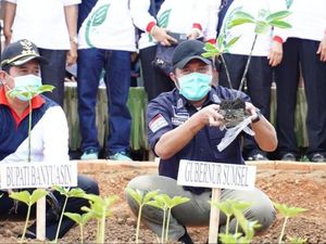 Gubernur Sumsel Minta Petani di Banyuasin Tanam Porang