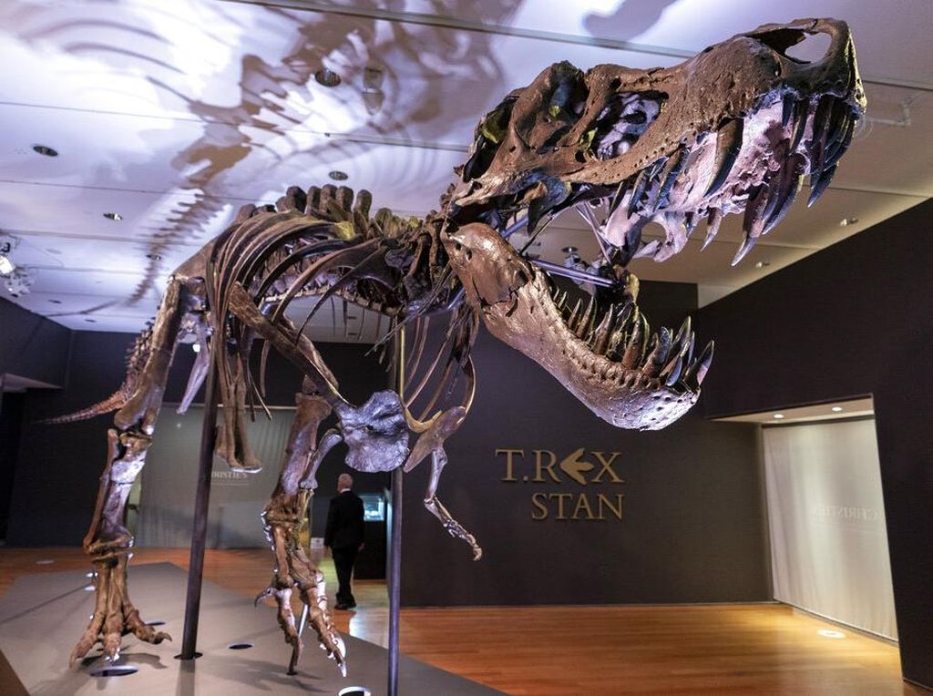 5 Temuan Dinosaurus Terbaru Sepanjang 2021, Ada yang Bisa Lari Sprint