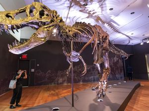 9 Hewan Purba Paling Mengerikan, Mulai dari Megalodon hingga Dinosaurus 9 Hewan Purba Paling Mengerikan, Mulai dari Megalodon hingga Dinosaurus