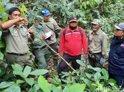 KLHK Temukan 6 Jebakan Binatang di Perbatasan TN Meru Betiri Banyuwangi
