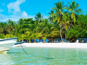 Setelah Berbulan-bulan Tutup, Kolombia Mulai Buka Pintu Perbatasan Setelah Berbulan-bulan Tutup, Kolombia Mulai Buka Pintu Perbatasan