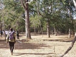 Tiket TN Komodo Rp 3,75 Juta, Pemerhati: Perhatikan Masyarakat Juga Dong