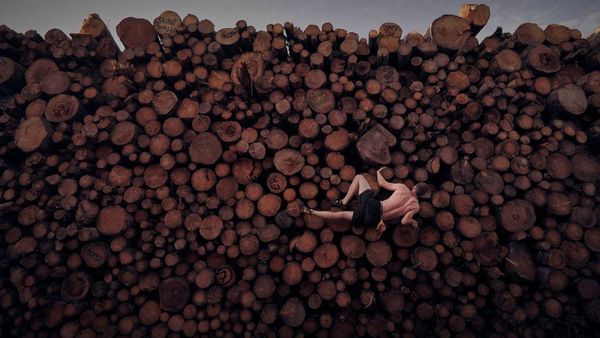 Foto Berlatih Panjat Tebing di Tumpukan Kayu