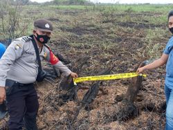 Bakar Lahan Gambut untuk Sawah, Petani di Muara Enim Sumsel Ditangkap