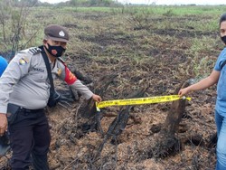 Bakar Lahan Gambut untuk Sawah, Petani di Muara Enim Sumsel Ditangkap