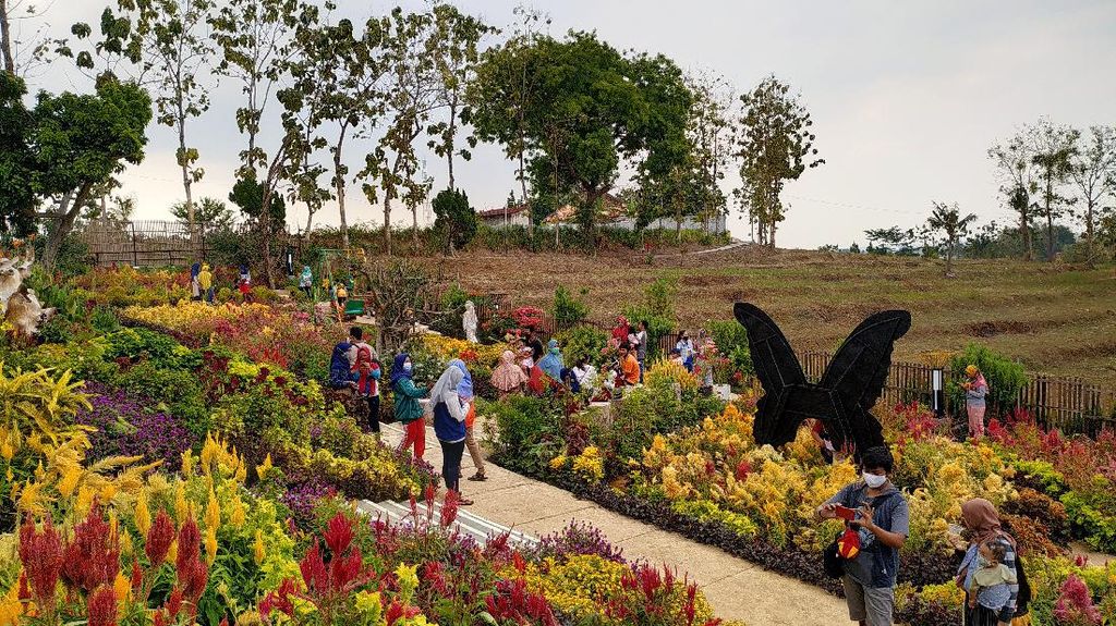 Foto: Taman Batik Akar Kartini, Destinasi Baru di Rembang Foto: Taman Batik Akar Kartini, Destinasi Baru di Rembang