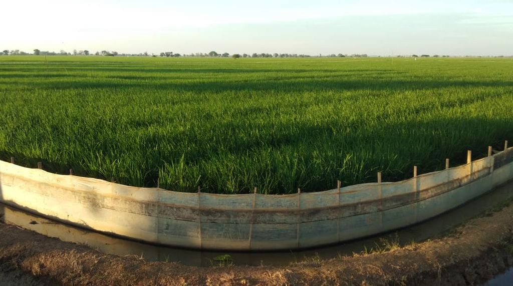 Upaya Tingkatkan Hasil Panen dan Kesejahteraan Petani Upaya Tingkatkan Hasil Panen dan Kesejahteraan Petani