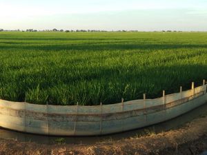 Upaya Tingkatkan Hasil Panen dan Kesejahteraan Petani