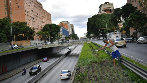 Krisis Ekonomi, Warga Venezuela  Menanam Sayur Mandiri
