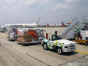 Bisnis Kargo Bertahan di Masa Pandemi