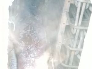Video Penampakan Temuan 5 Mayat ABK di Freezer Kapal Video Penampakan Temuan 5 Mayat ABK di Freezer Kapal
