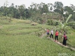 Hiking Sentul Upaya Warga Cari Penghasilan Setelah Kehilangan Sawah