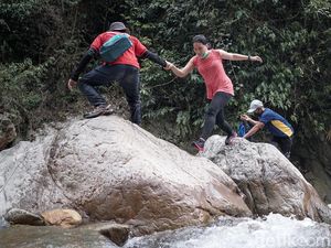 Hiking di Sentul yang sedang Naik Daun Hiking di Sentul yang sedang Naik Daun